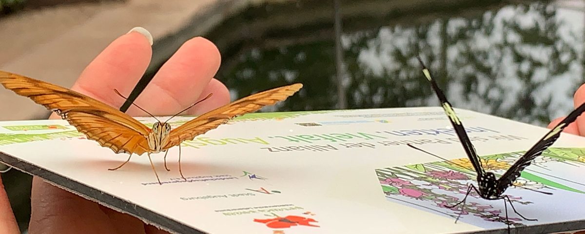Wir sind Partner der Allianz Insekten.Vielfalt.Augsburg.