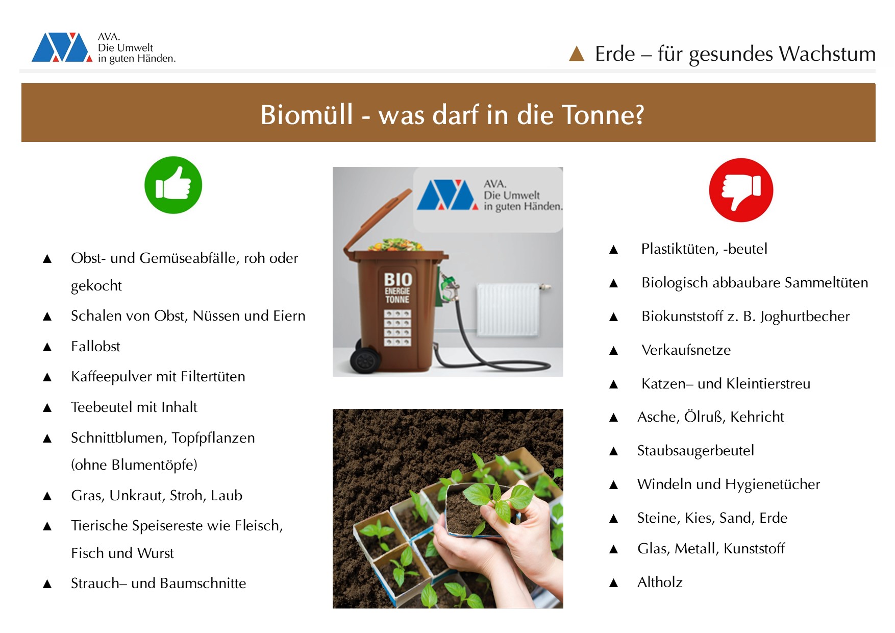 Plakat - Biomüll - Was darf in die Tonne